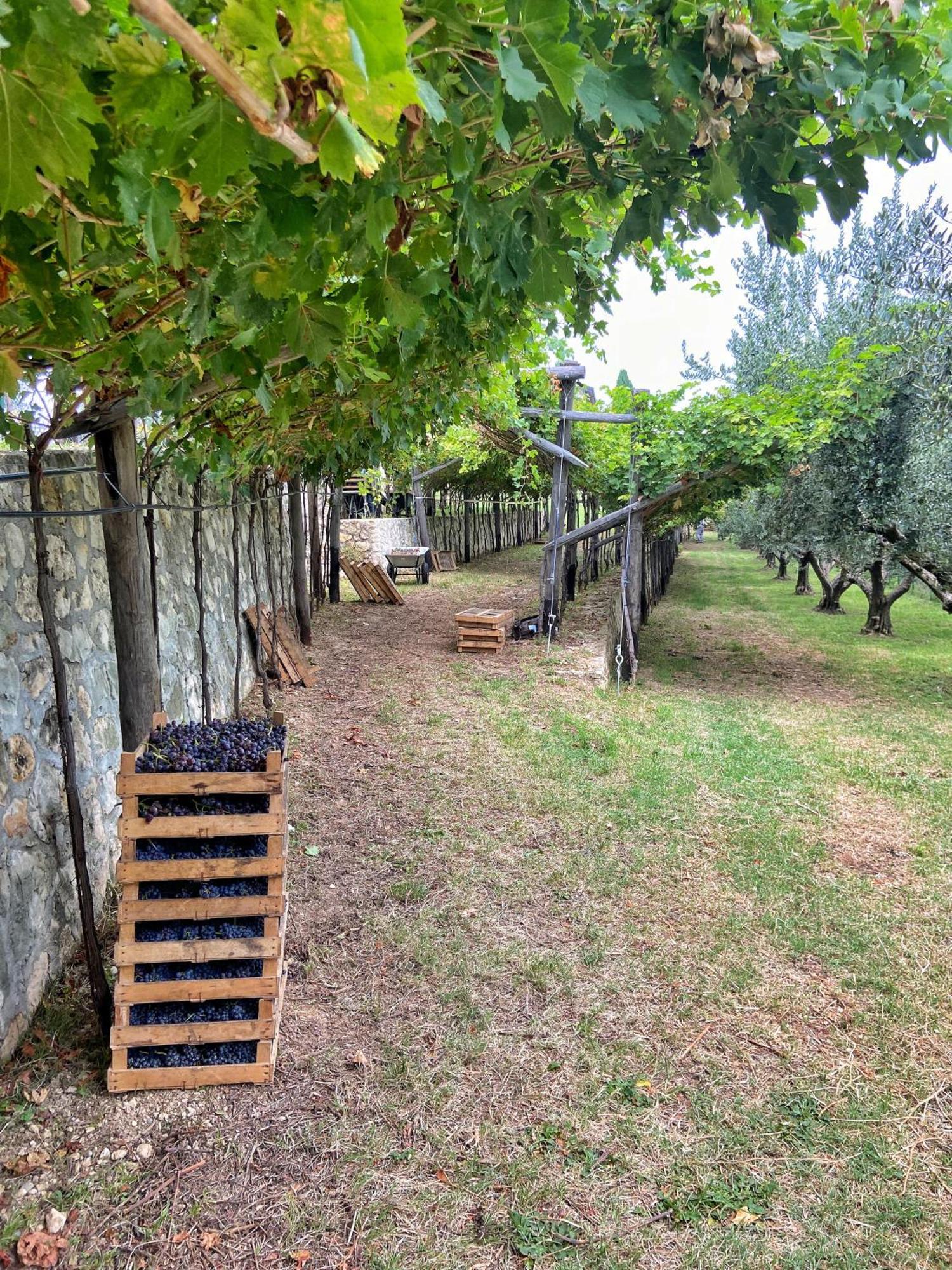 Villa La Vineria Di San Mattia Verona Exterior foto